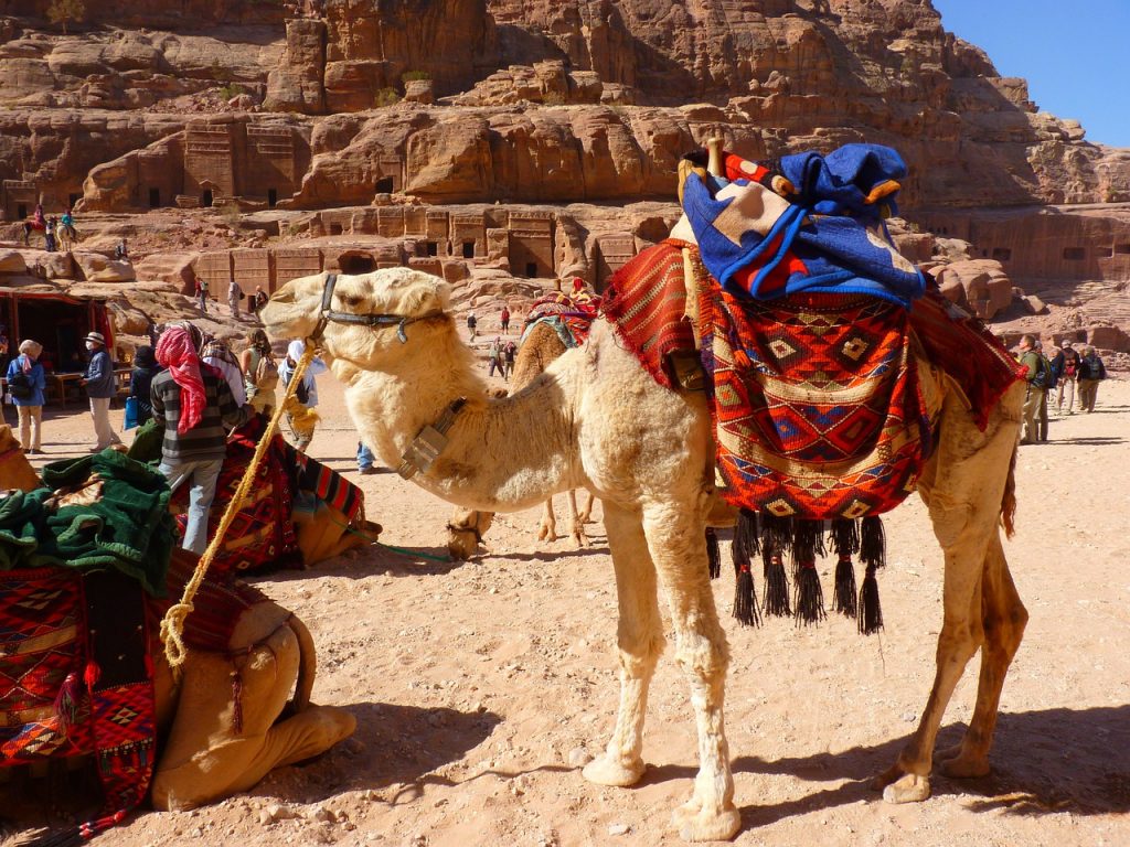 petra, jordan, vacations