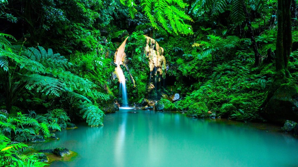 azores, waterfall, oasis