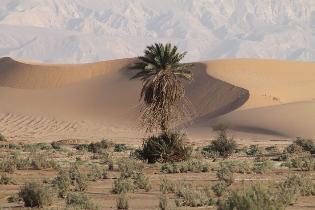 jordan, travel, desert