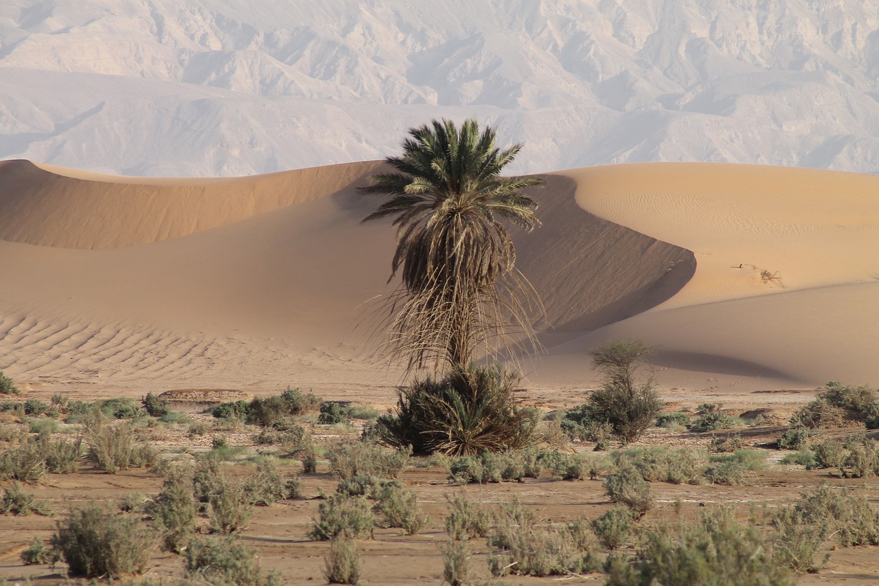 jordan, travel, desert