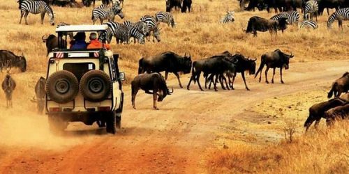 8-Days-Kenya-Wildlife-Experience-750x450