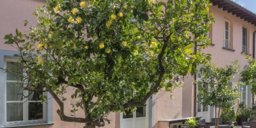 B&B DI CAMILLA - TRAVEL COLLECTION 6