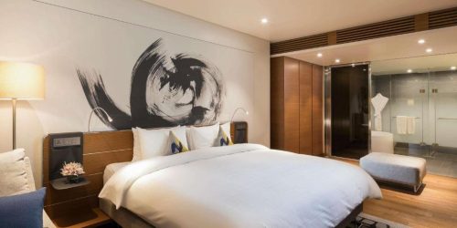 HOTEL NOVOTEL - TRAVEL COLLECTION 5