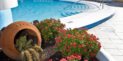 LP2-PISCINA-FLORES--6449
