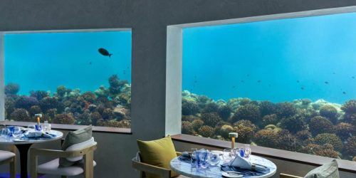 OBLU travel coll agency restaurant