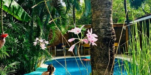 OFERTA TRAVEL COLLECTION COSTA RICA TAMARINO HOTEL TEN NORTH 1