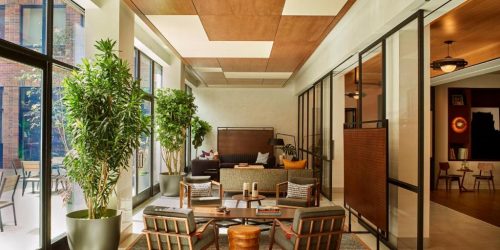 OFERTA TRAVEL COLLECTION HOTEL NEW YORK HOTEL ARLO SOHO 2