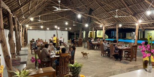 OFERTA ZANZIBAR TRAVEL COLLECTION AGENTIE DE TURISM 3