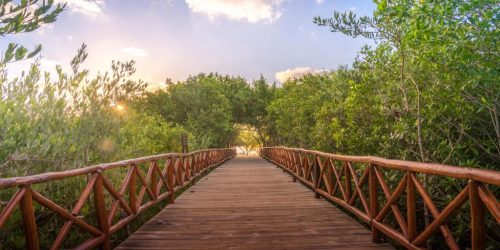 Platinum Yucatan Princess Adults Only