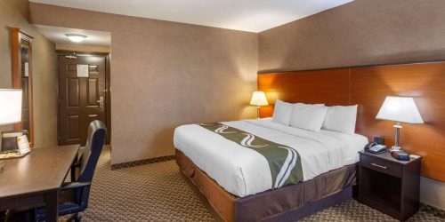 QUALITY INN TORONTO AIRPORT - TRAVEL COLLECTION 5