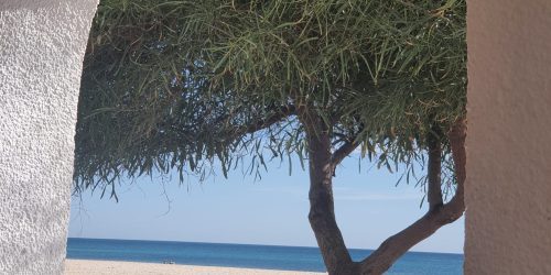SALAMMBO HAMMAMET 6 TRAVEL