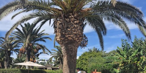 SENTIDO PHENICIA 17 TRAVEL COLL