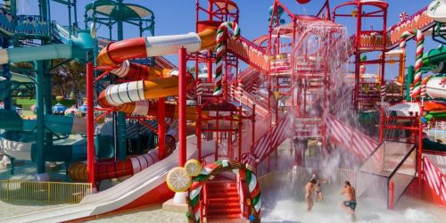 TRAVEL COLLECTION AGENCY VACANTE EXOTICE