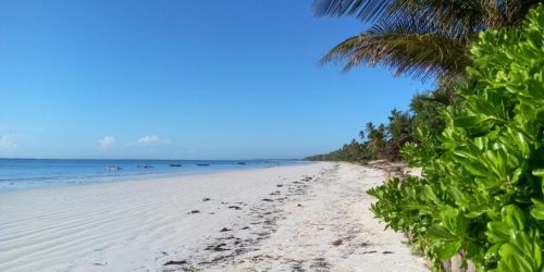 ZANZIBAR BAHARI - TRAVEL COLLECTION 4