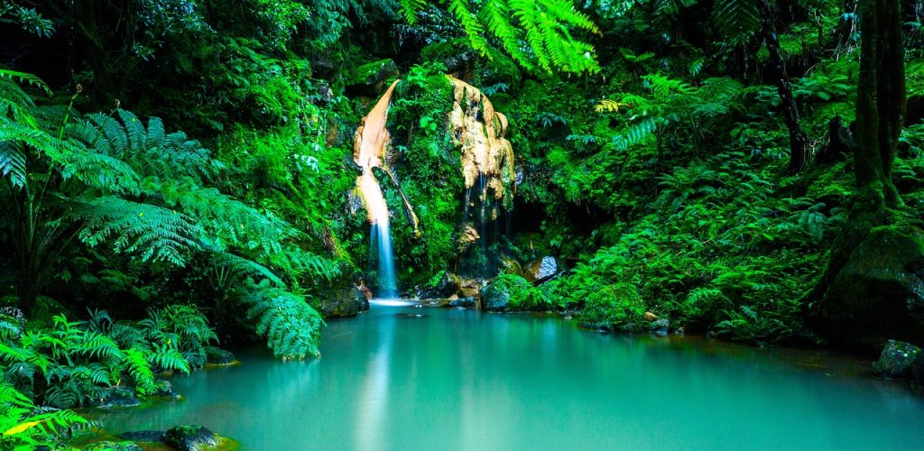 azores, waterfall, oasis