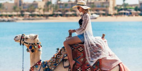 desert rose travel collection hurgada