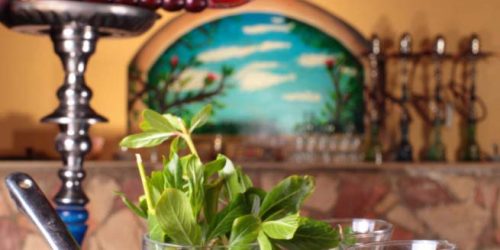 gallery-xperience-st.-george-homestay-dawar-el-omda