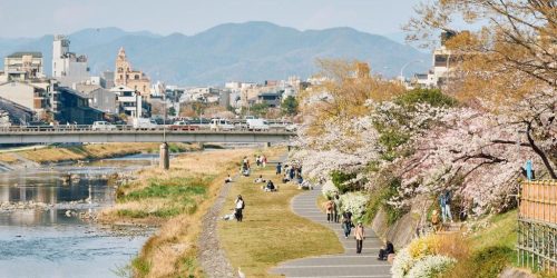 oferta coreea si japonia travel collection agentie de turism 8