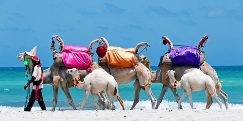 tunisia 7